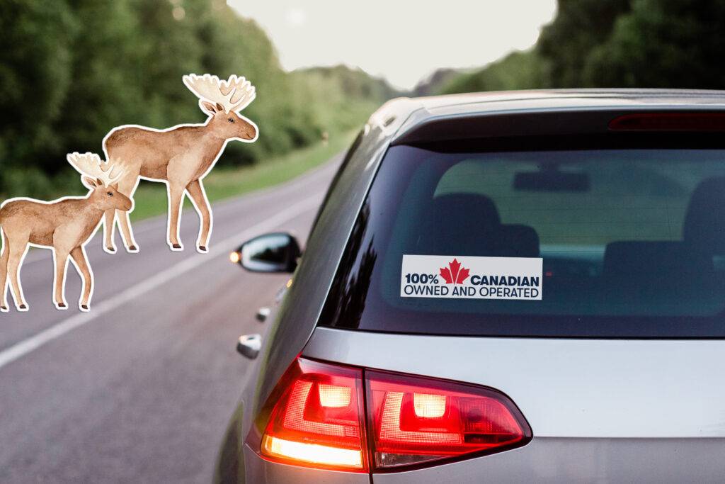 Window decal in car showing local Canadian business pride with playful moose stickers.
